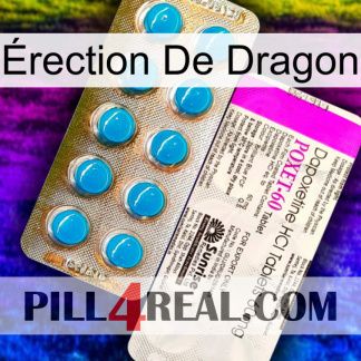 Érection De Dragon new07